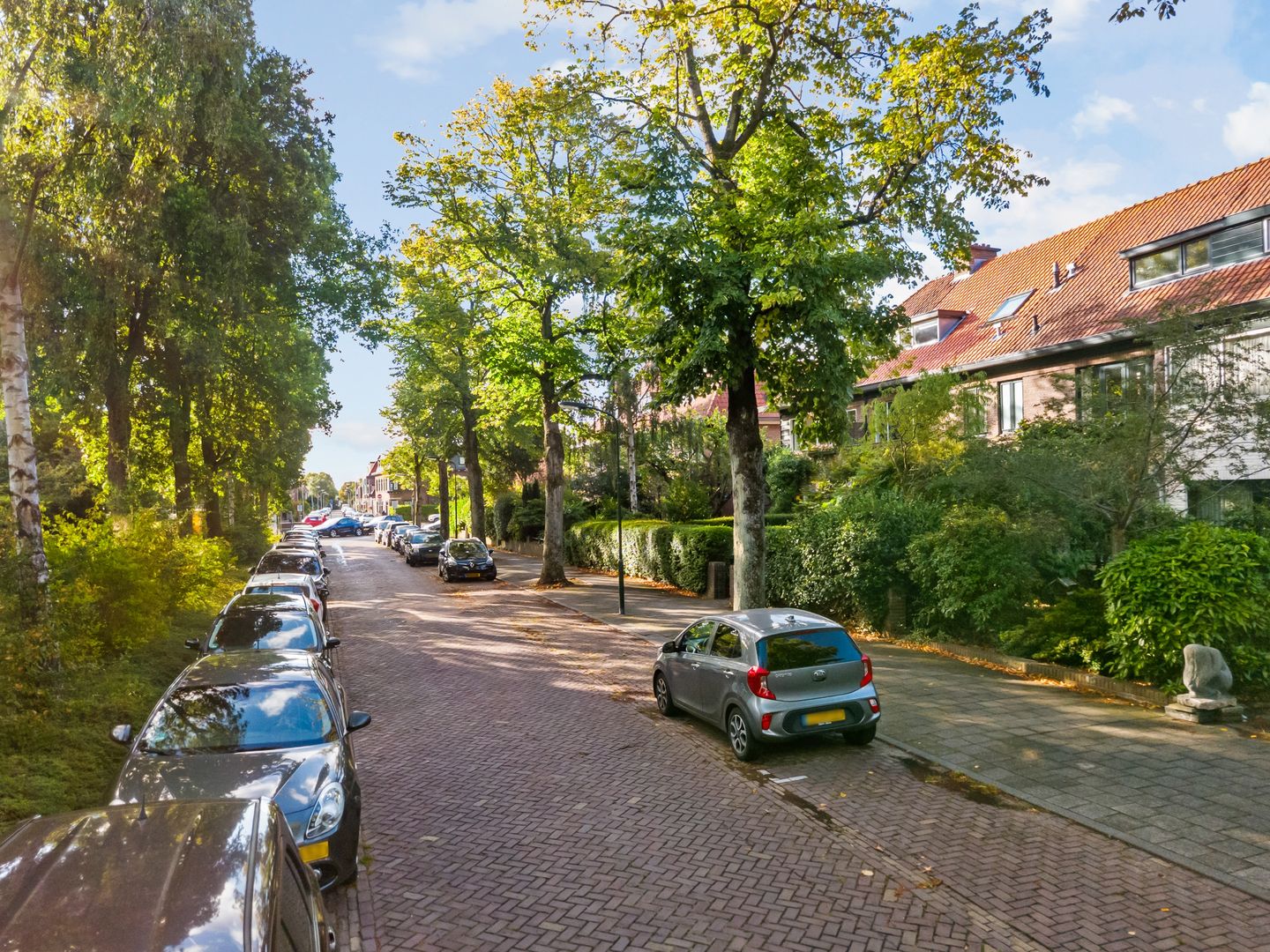 Foto 40 van Loolaan 102