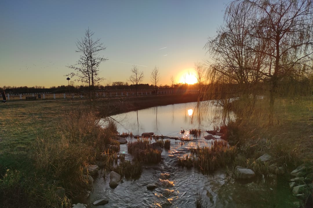 Photo 43 of Meerzand 78