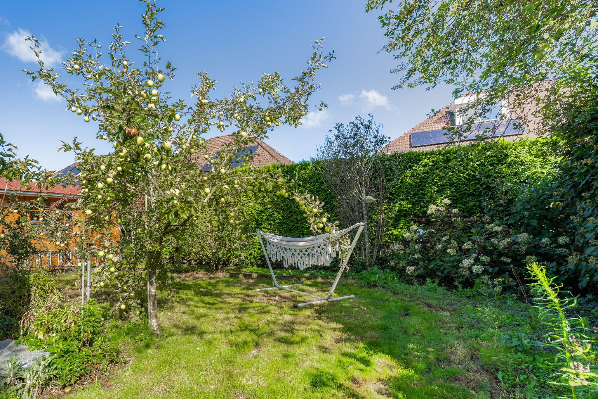 Photo 45 of Ferdinand Bolstraat 6