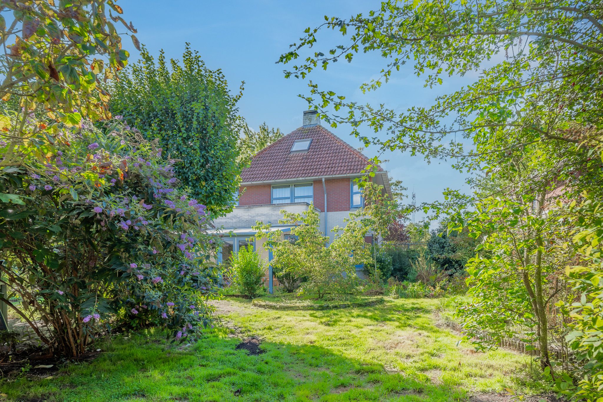 Photo 54 of Ferdinand Bolstraat 6