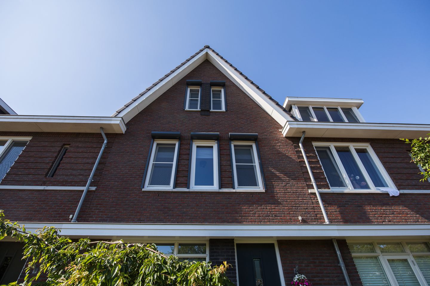 Foto 5 van Zwarte Roodstaart 2