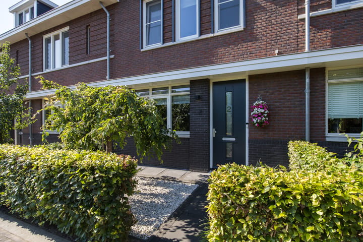 Foto 4 van Zwarte Roodstaart 2