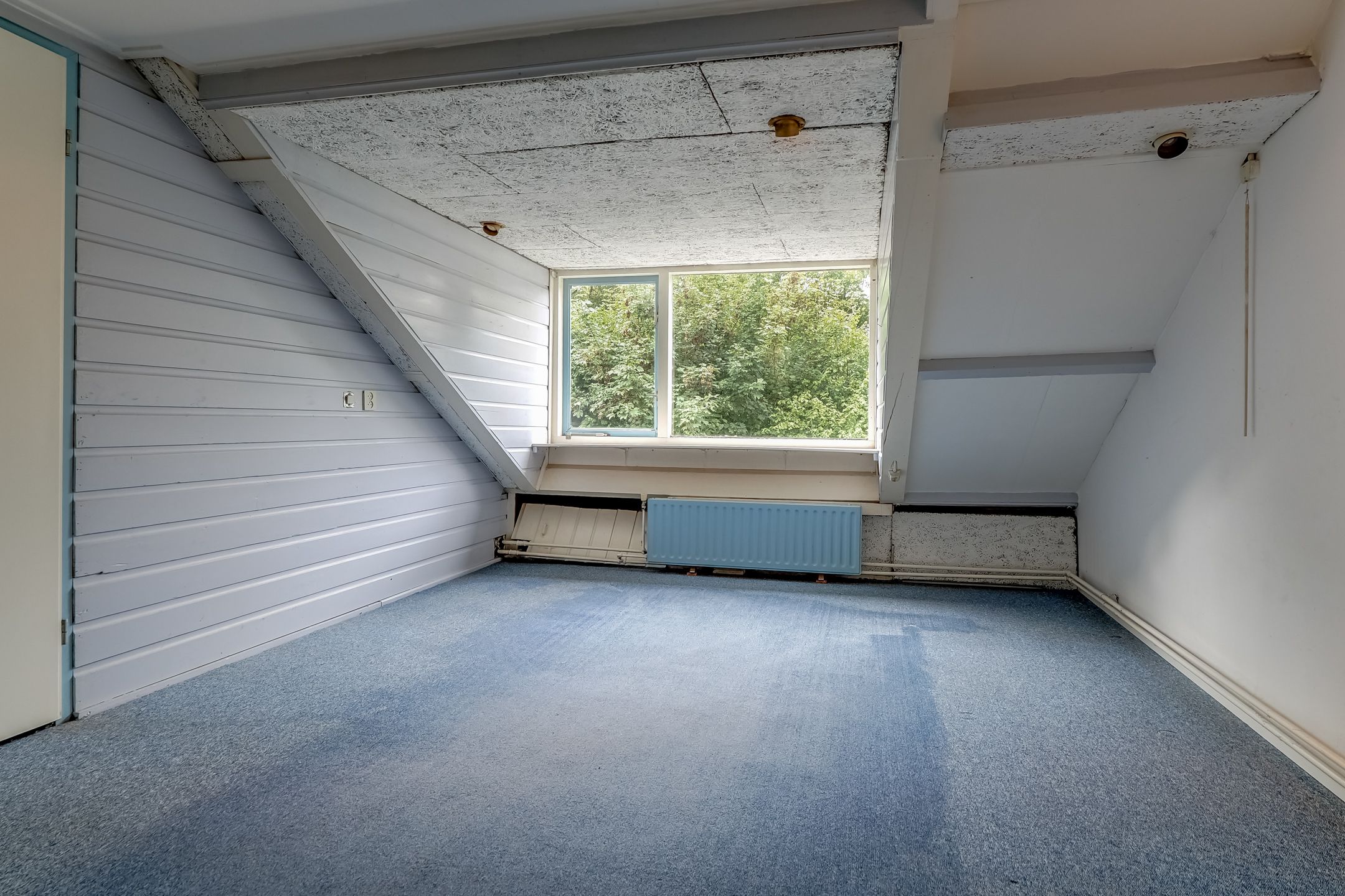 Foto 45 van Hertog Albrechtstraat 238