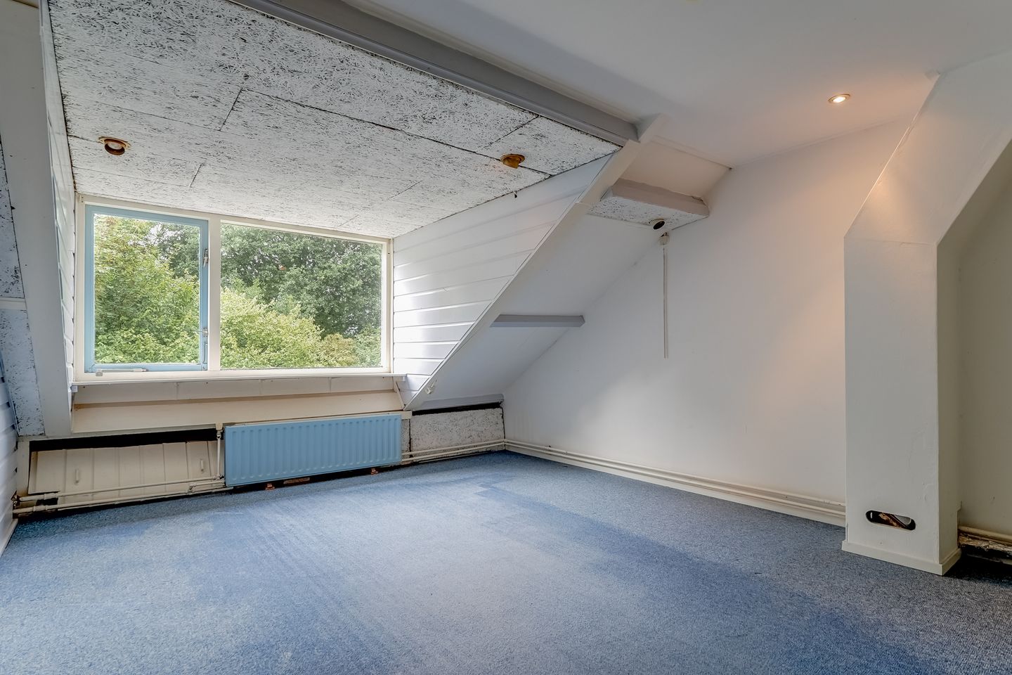 Foto 44 van Hertog Albrechtstraat 238