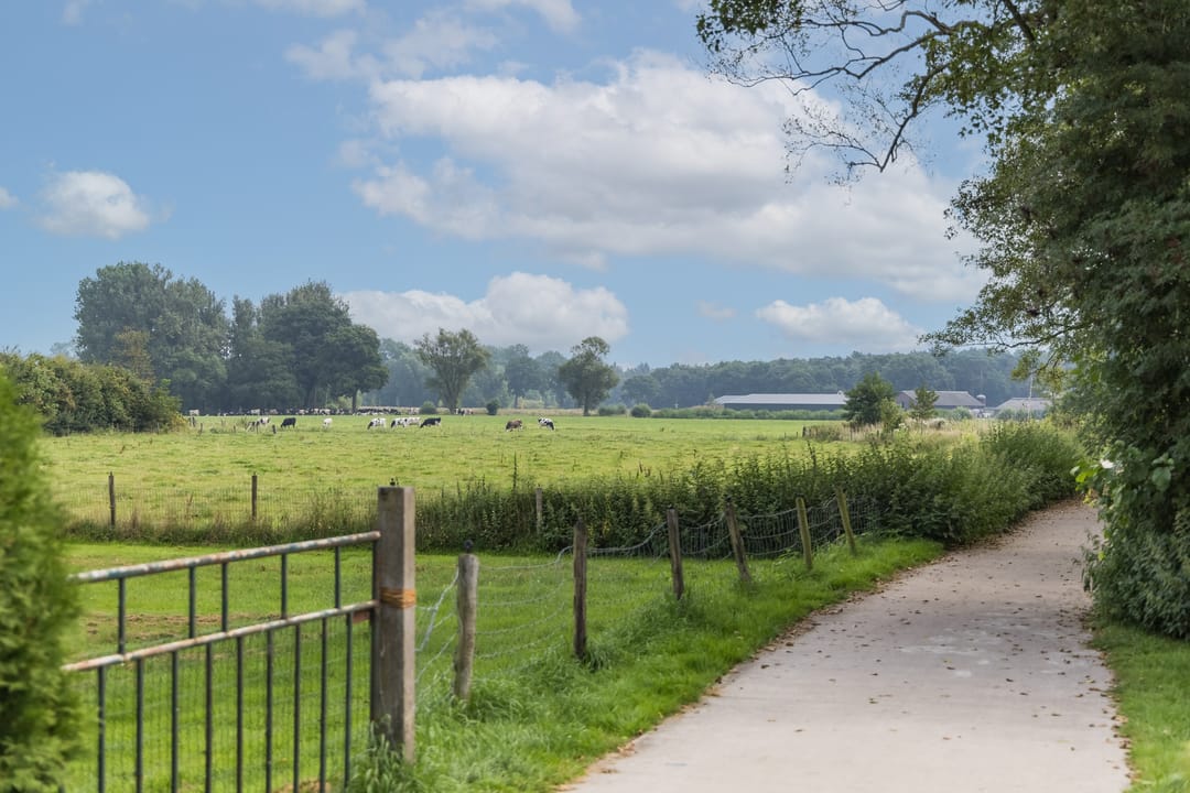 Foto 47 van Paasdijk 1