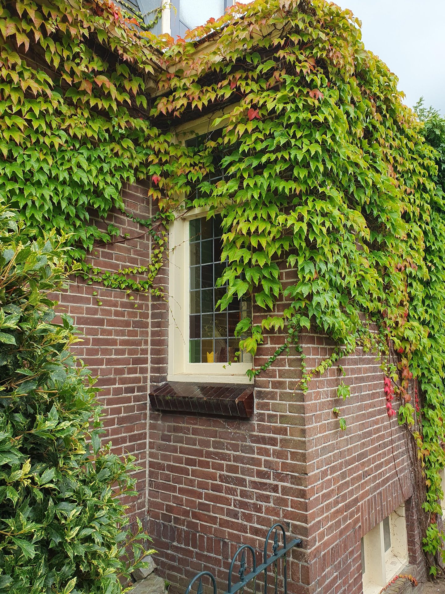 Foto 4 van Dorpsdijk 178
