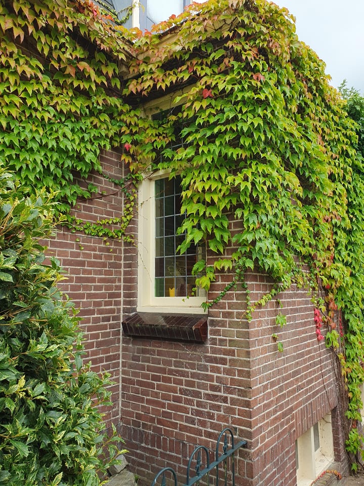 Foto 4 van Dorpsdijk 178