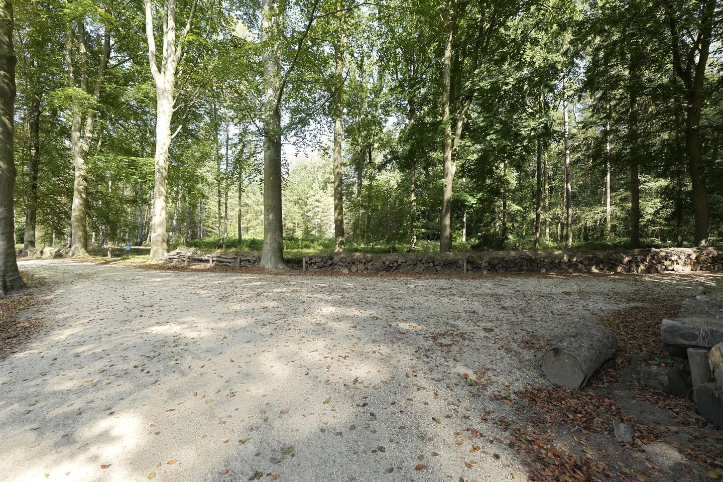 Photo 74 of van Maanenstraat 19