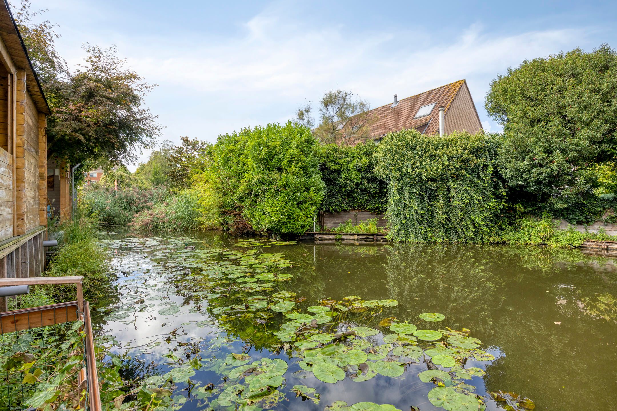 Photo 36 of Ernst Barlachrade 11