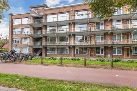 Burgemeester Norbruislaan thumbnail
