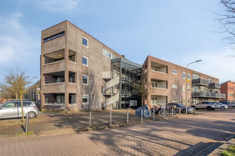 Fien de la Marstraat thumbnail