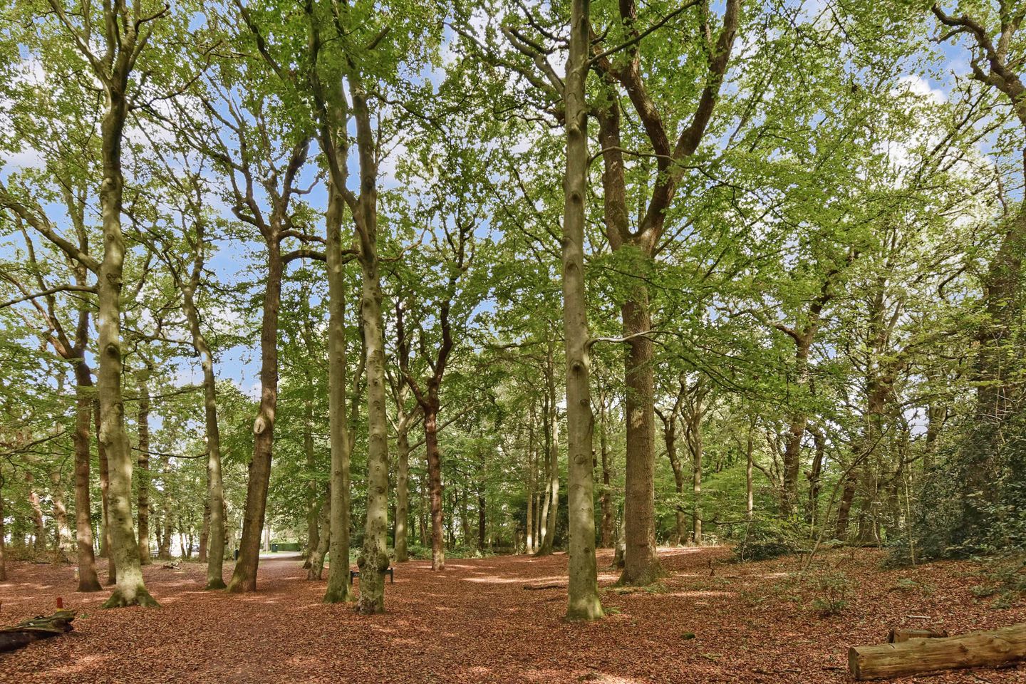 Photo 34 of Ruychrocklaan 452