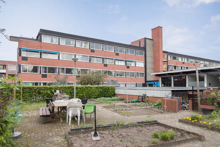 Appartement te huur: Assendorperdijk 136H, Zwolle