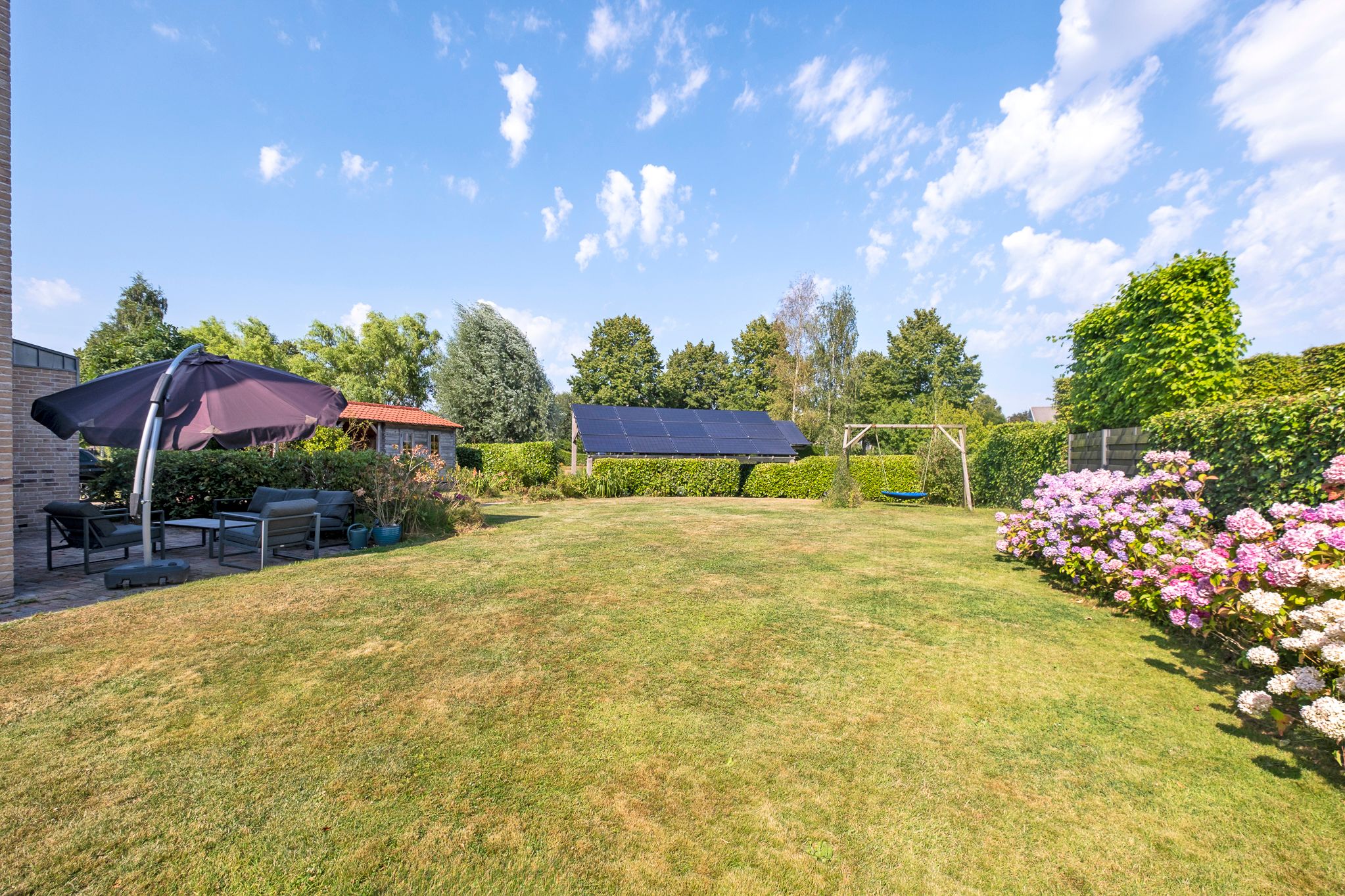 Photo 63 of Jonker Egbert Clantsngl 2