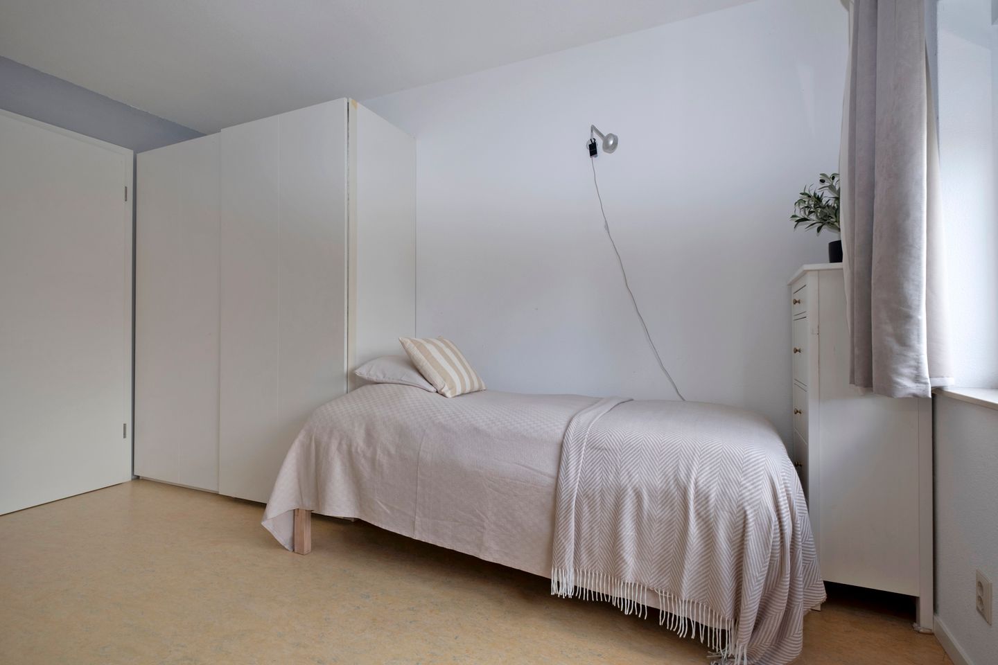 Photo 40 of Jonker Egbert Clantsngl 2