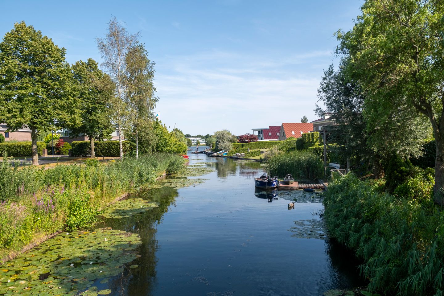 Photo 74 of Jonker Egbert Clantsngl 2