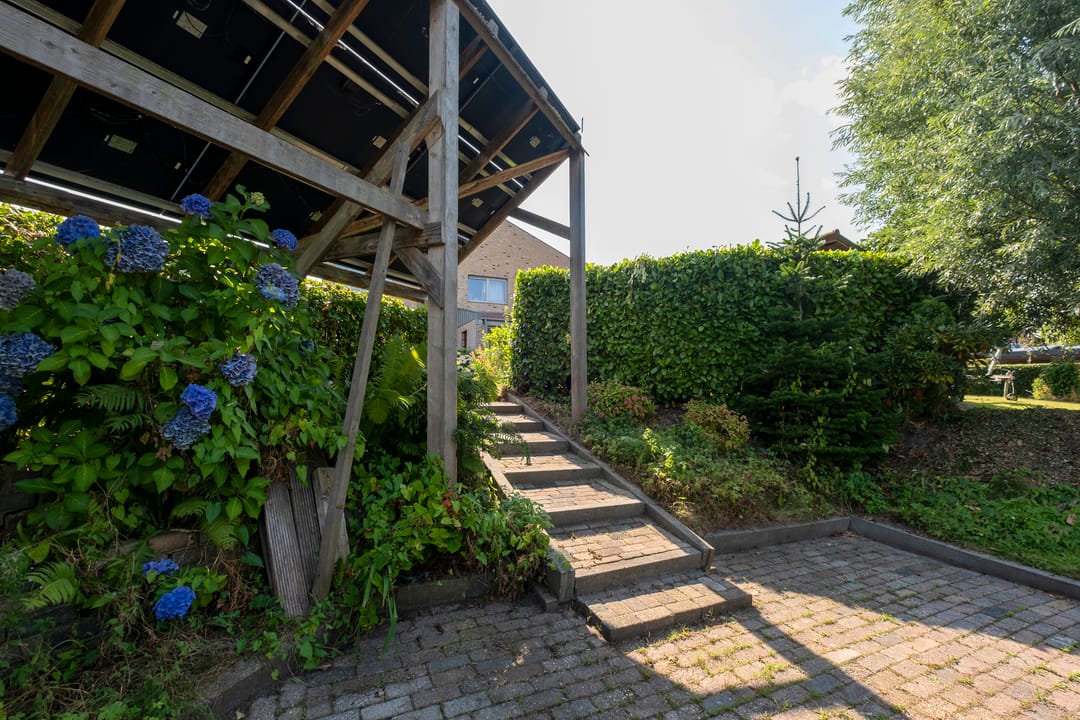 Photo 68 of Jonker Egbert Clantsngl 2