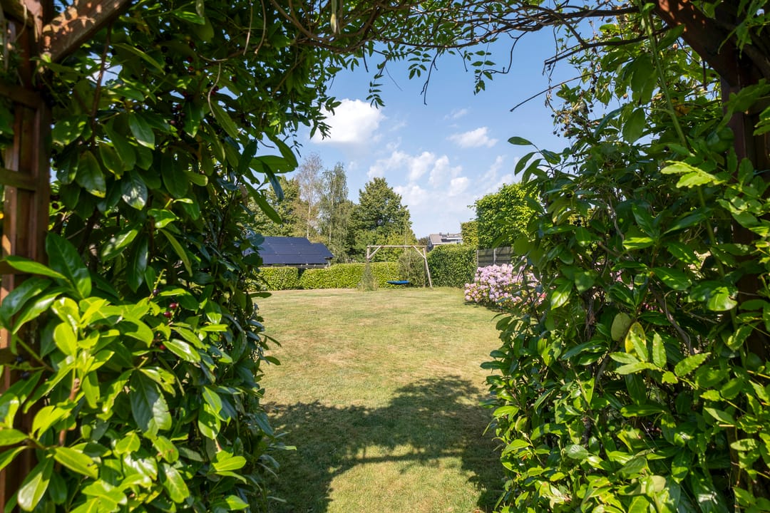 Photo 67 of Jonker Egbert Clantsngl 2