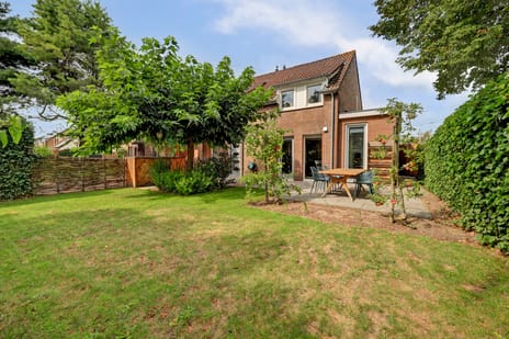 Burgemeester van Randwijckstraat thumbnail