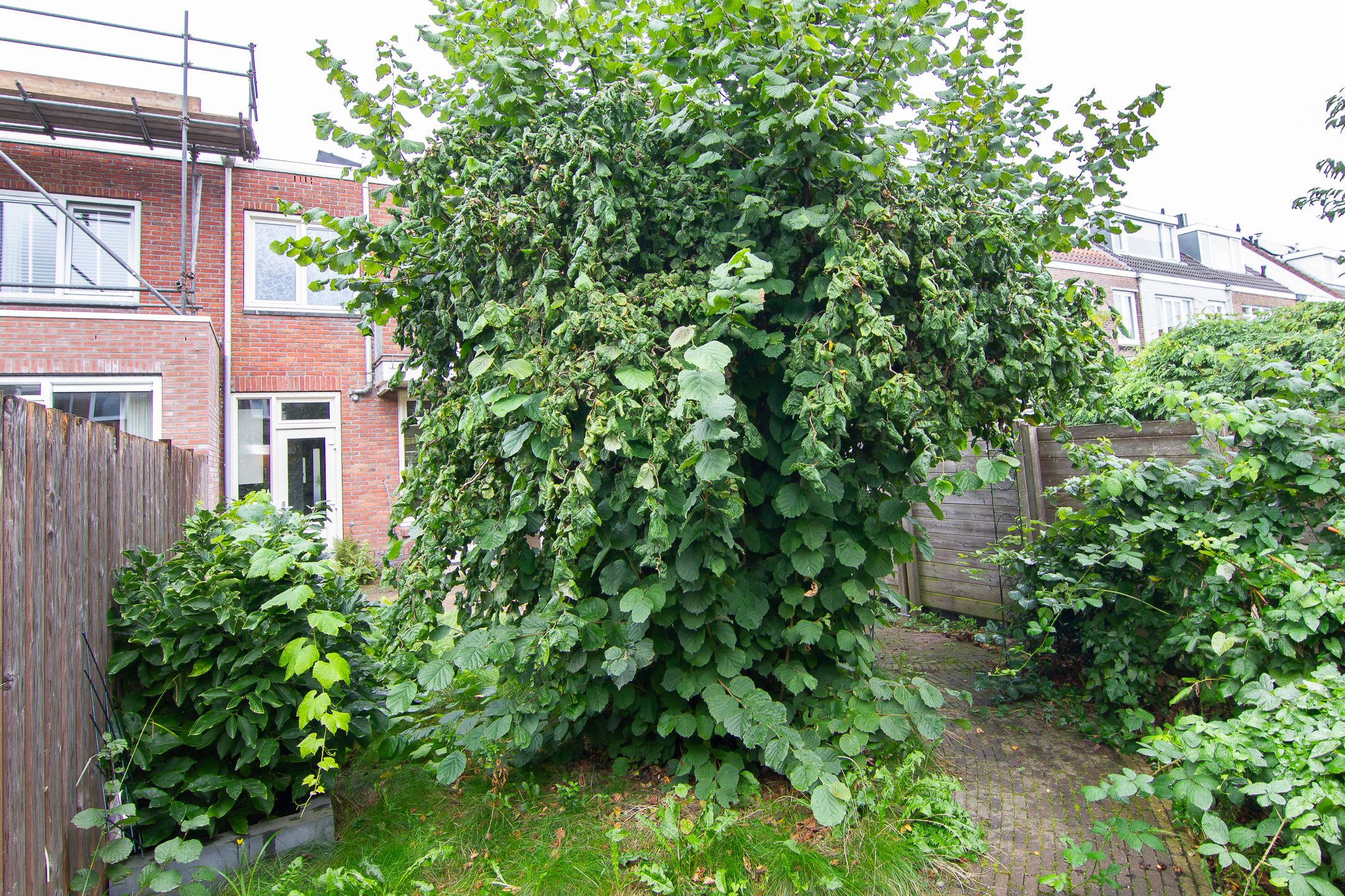 Foto 21 van Atjehstraat 91