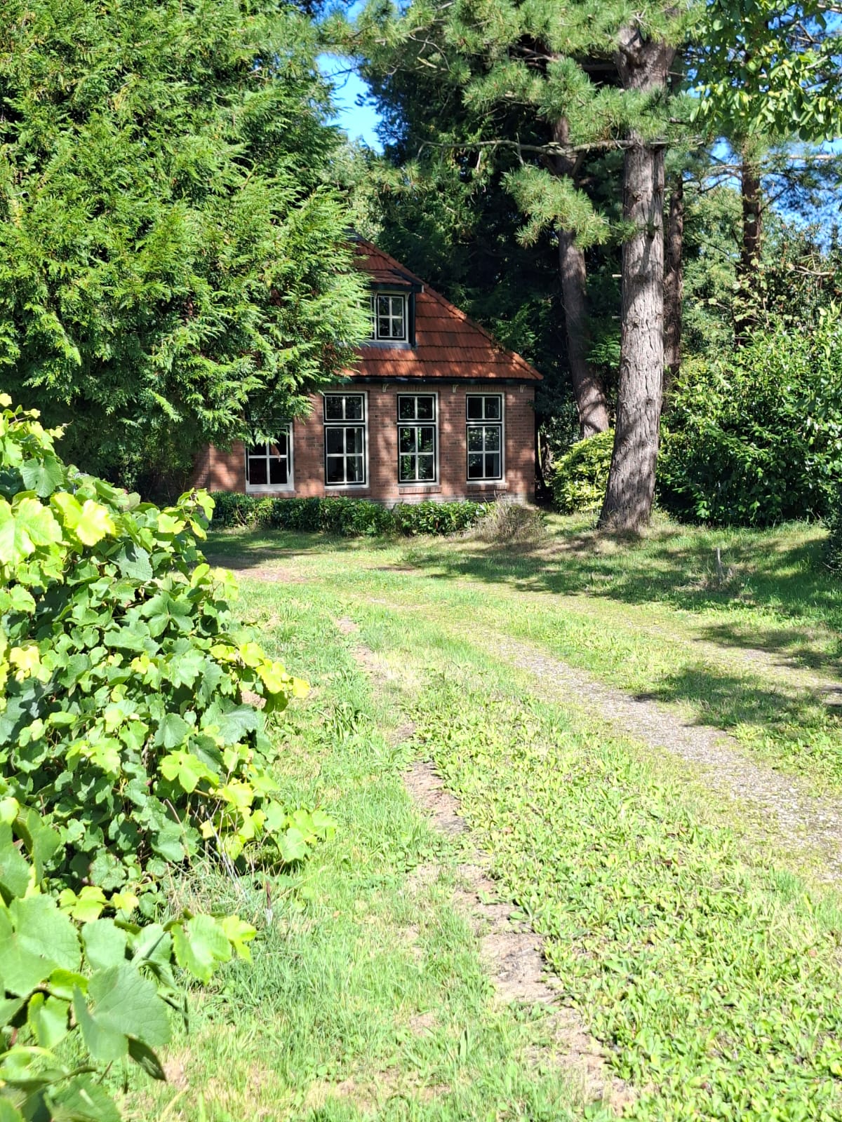 Foto 55 van Bethlehemsreed 27
