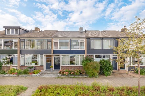 Burgemeester van Edenstraat thumbnail