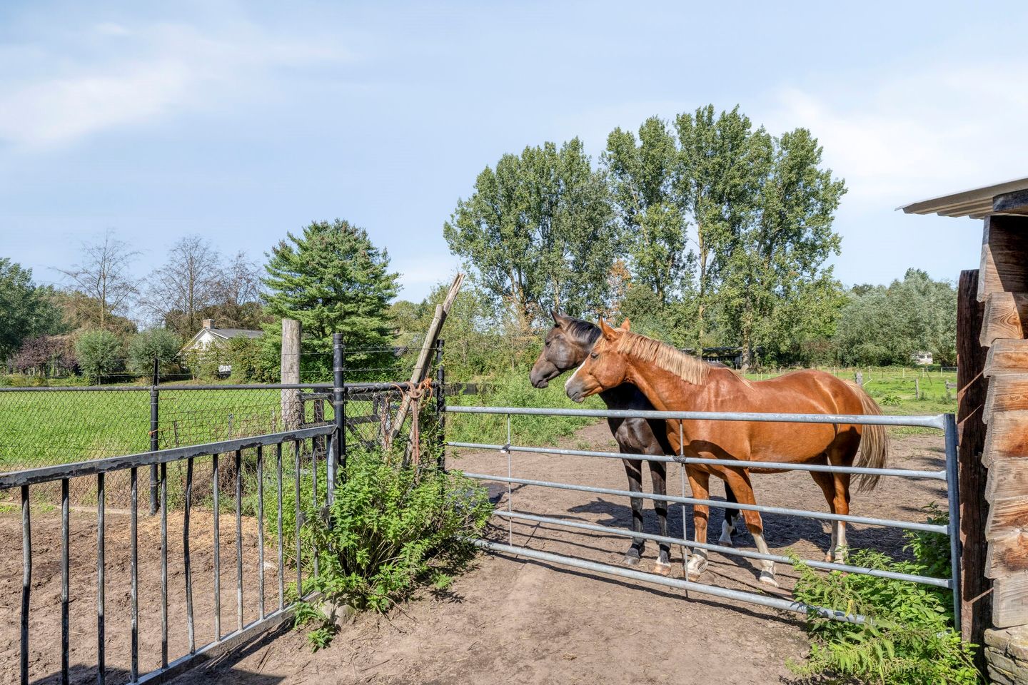 Photo 64 of Bodem van Elde 9-A