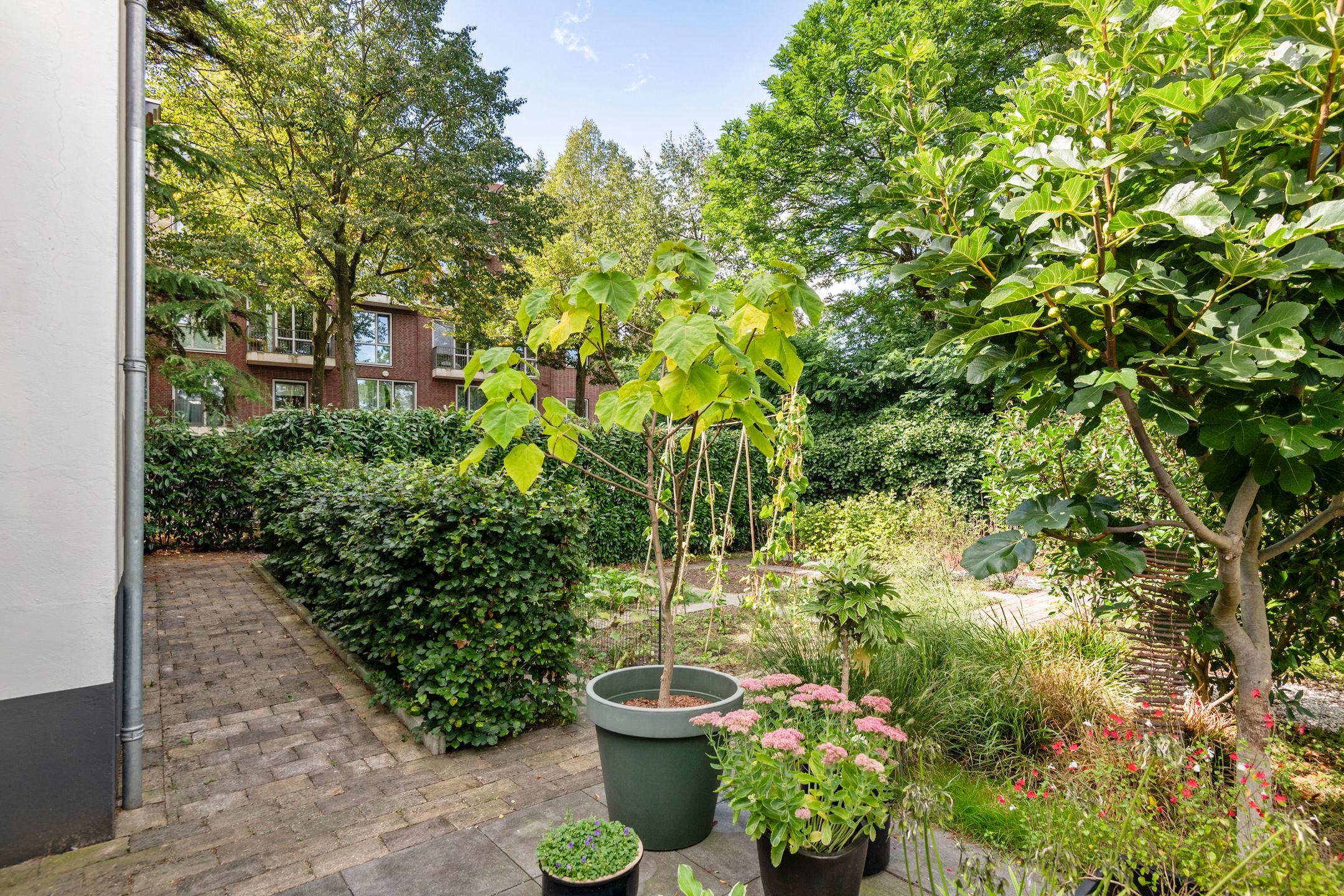 Foto 48 van Lingedijk 56