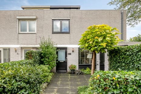 Gebroeders Schutstraat thumbnail