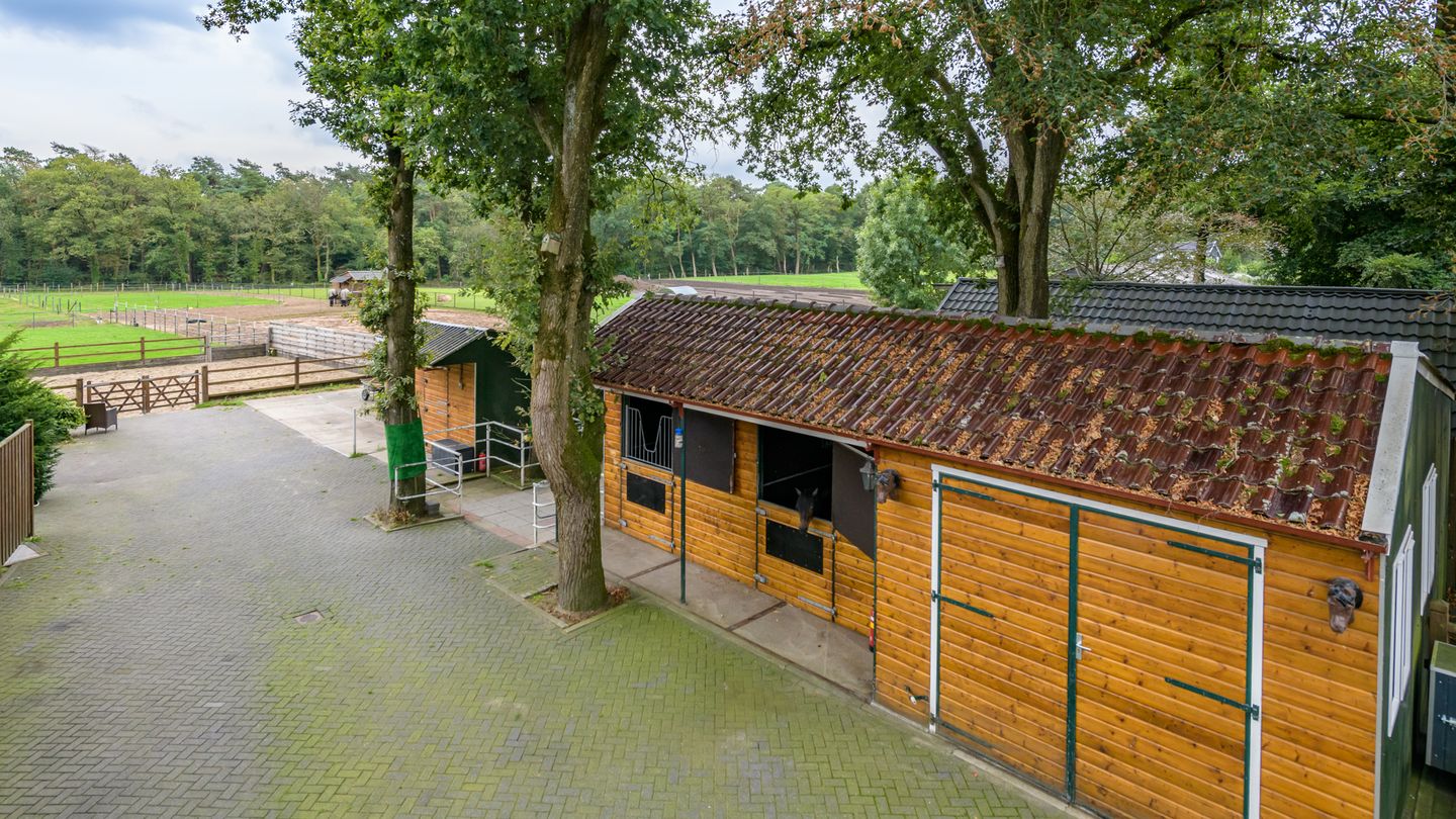 Foto 40 van Paalbergweg 16