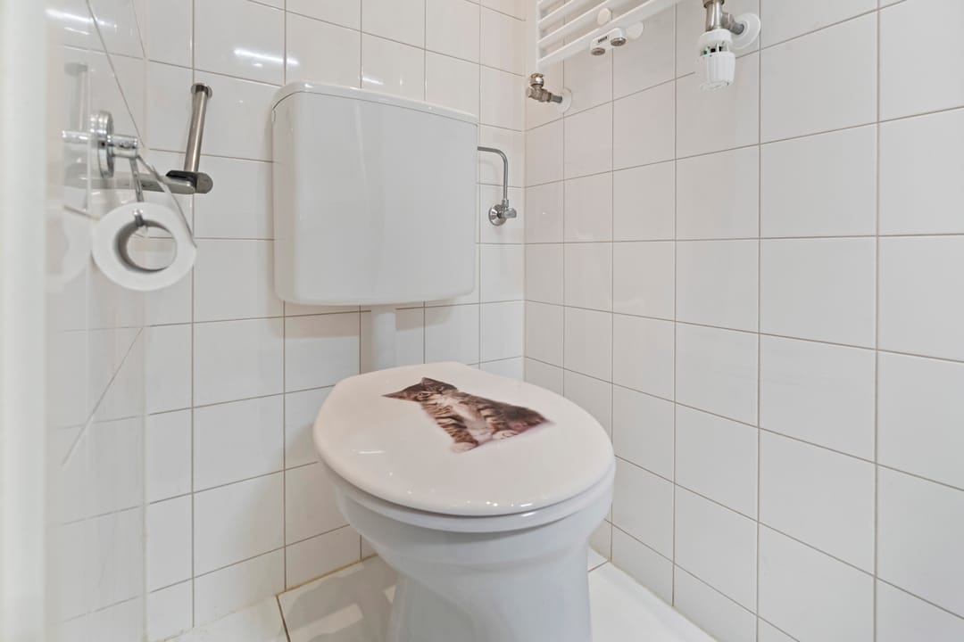 Photo 43 of Schellinglaan 19