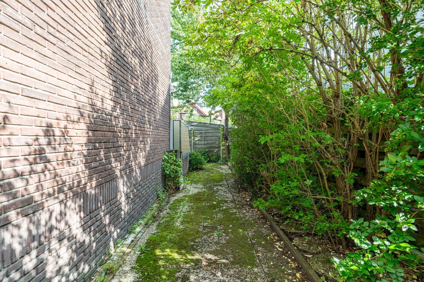 Photo 25 of Zijldijk 6