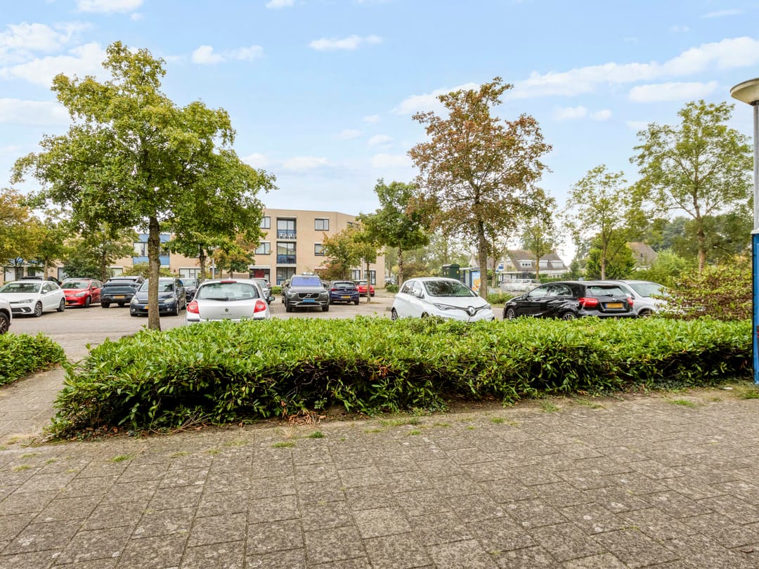 Photo 28 of Thorbeckeplantsoen 2