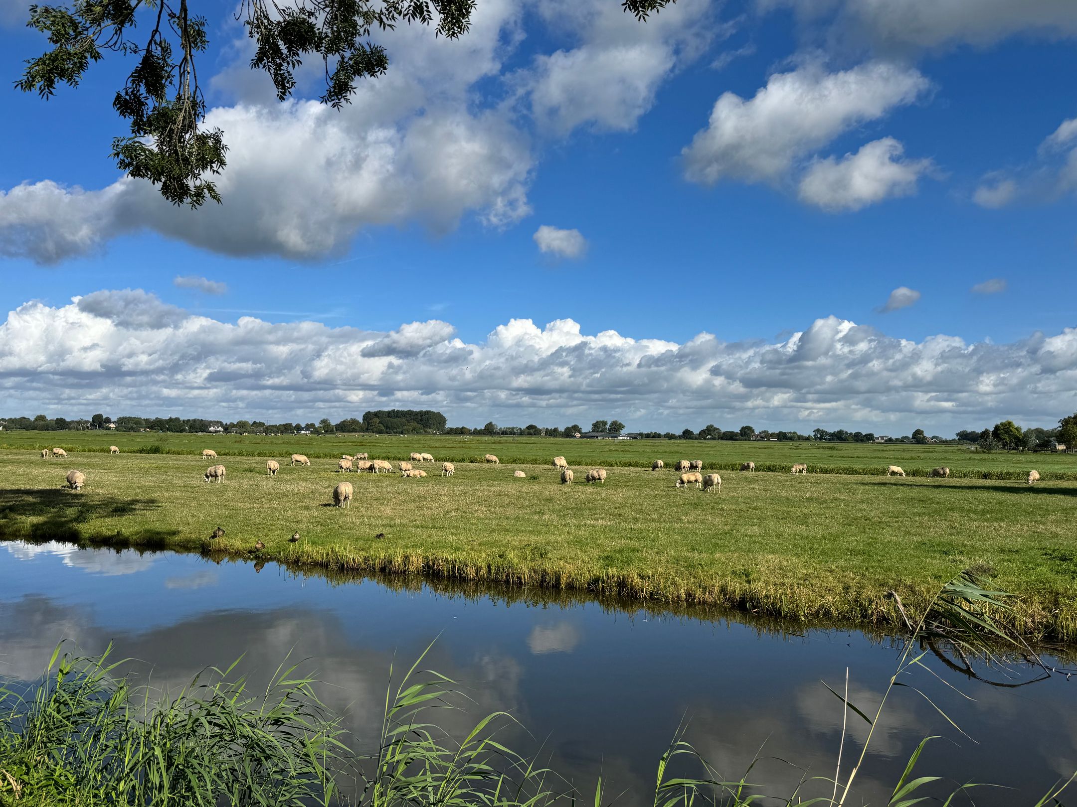 Photo 6 of Pieter de Hooghlaan 1