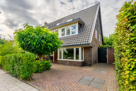 Dollardstraat thumbnail