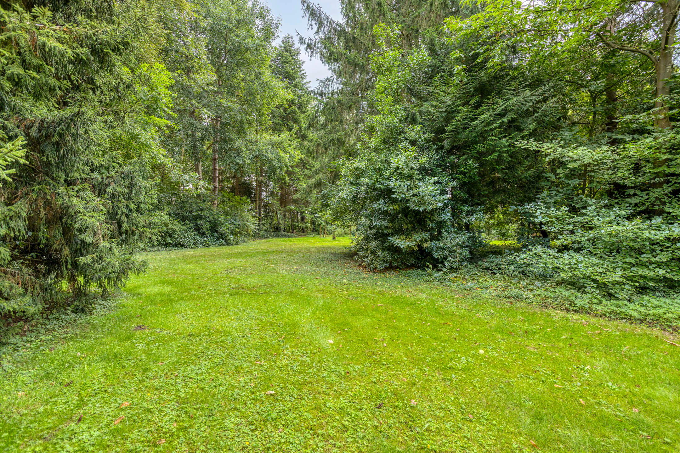 Photo 45 of Bekhofweg 12
