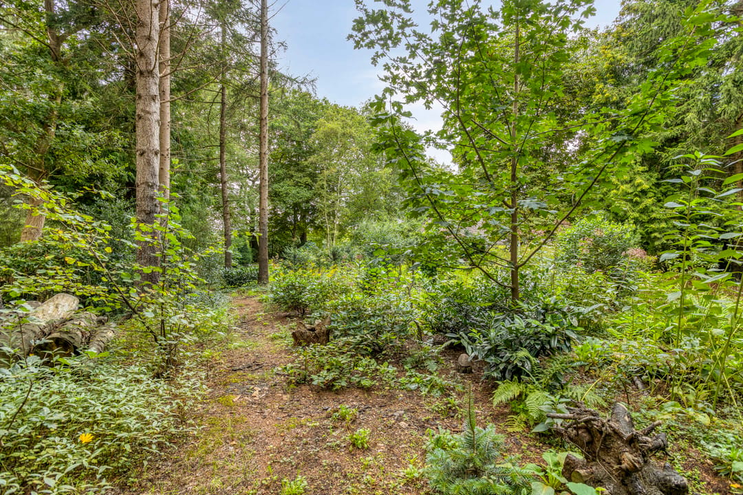 Photo 47 of Bekhofweg 12
