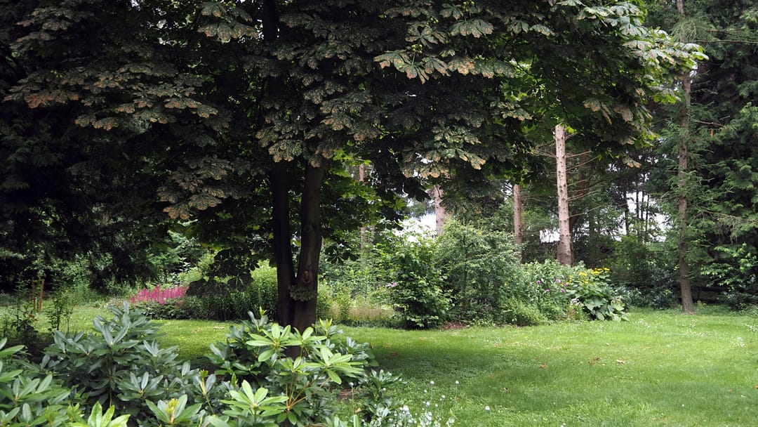 Photo 46 of Bekhofweg 12