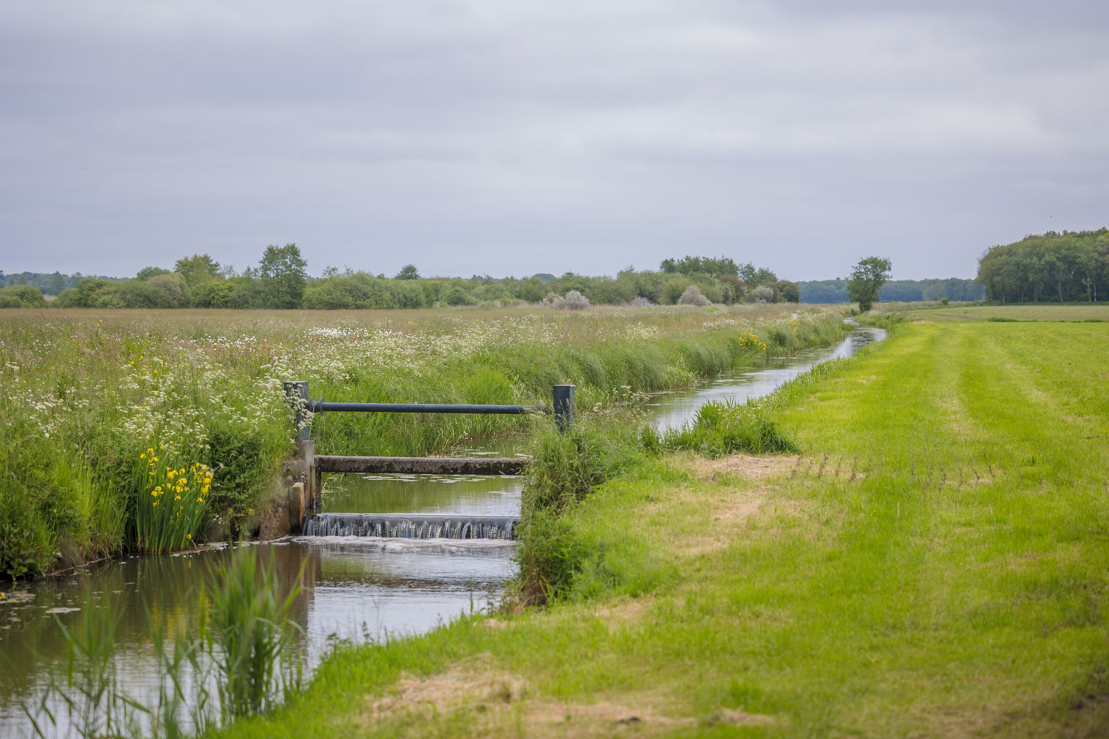 Photo 69 of Bekhofweg 12