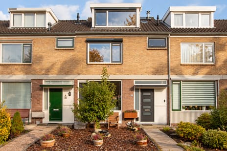 Dorus Rijkersstraat thumbnail