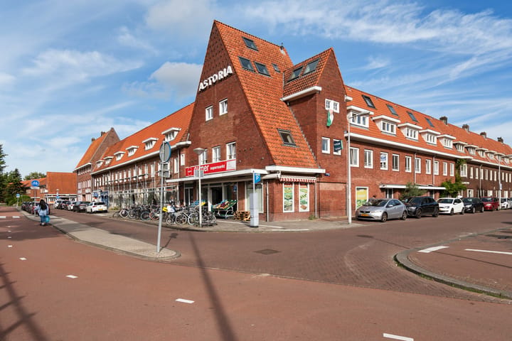 Foto 4 van Mosveld 96-D