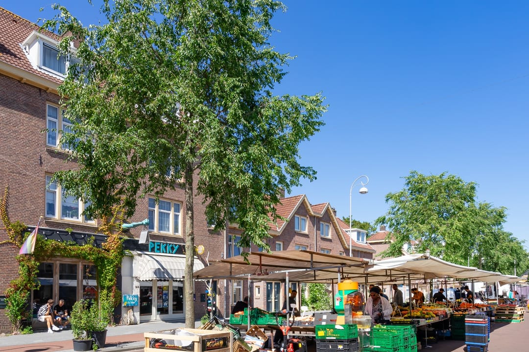 Foto 31 van Mosveld 96-D