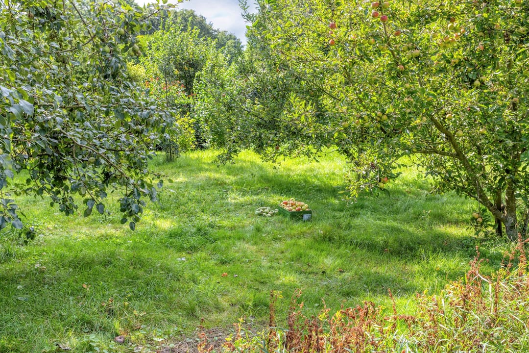 Photo 77 of Zuiderdiep 190