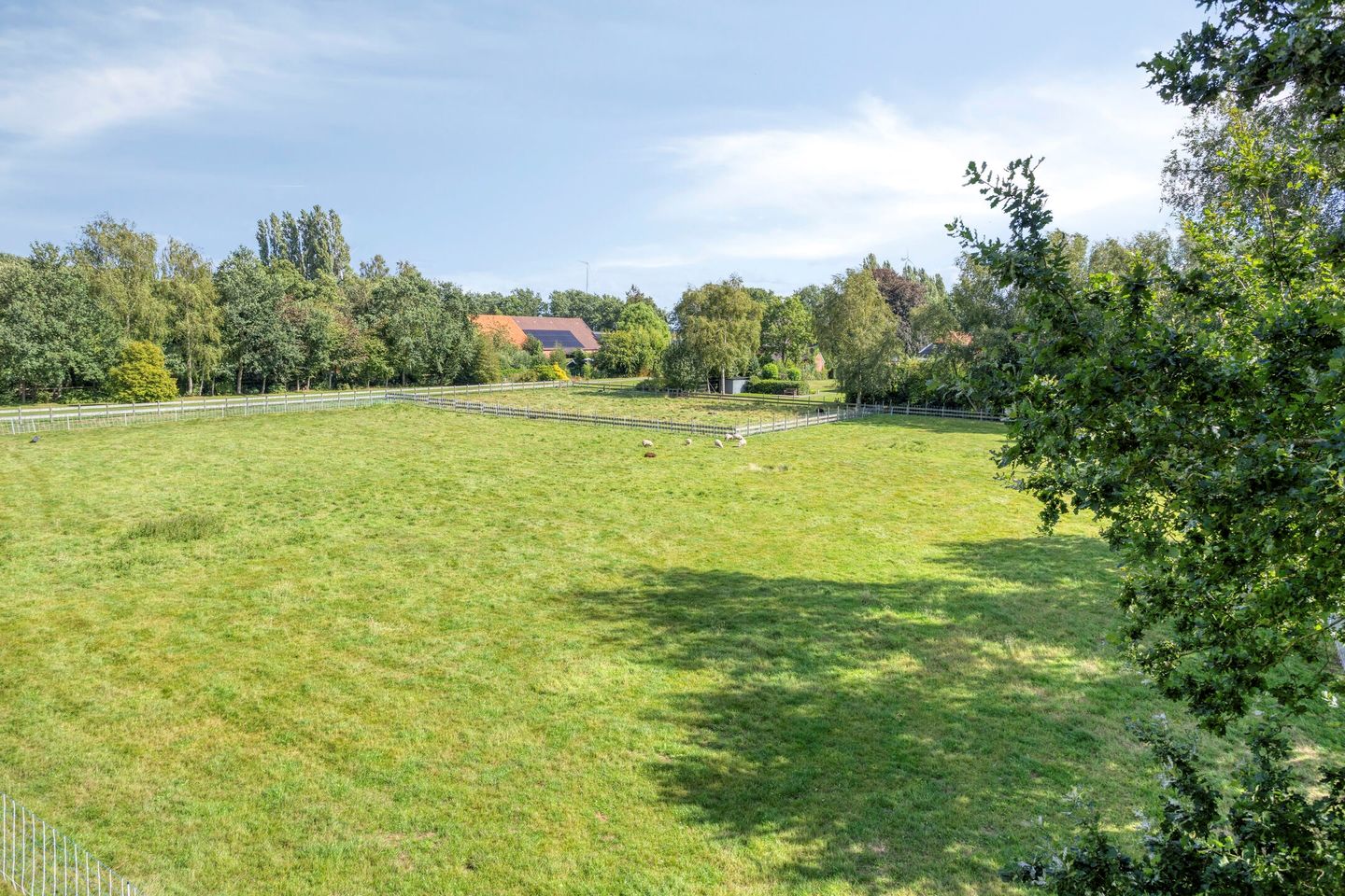Photo 4 of Zuiderdiep 190