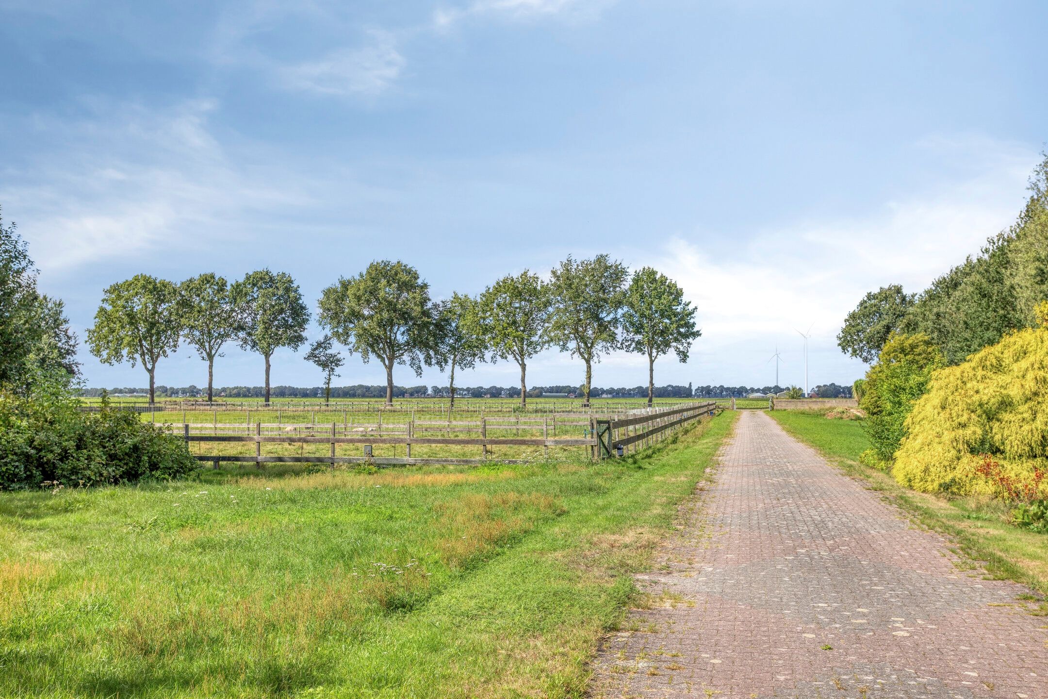 Photo 78 of Zuiderdiep 190