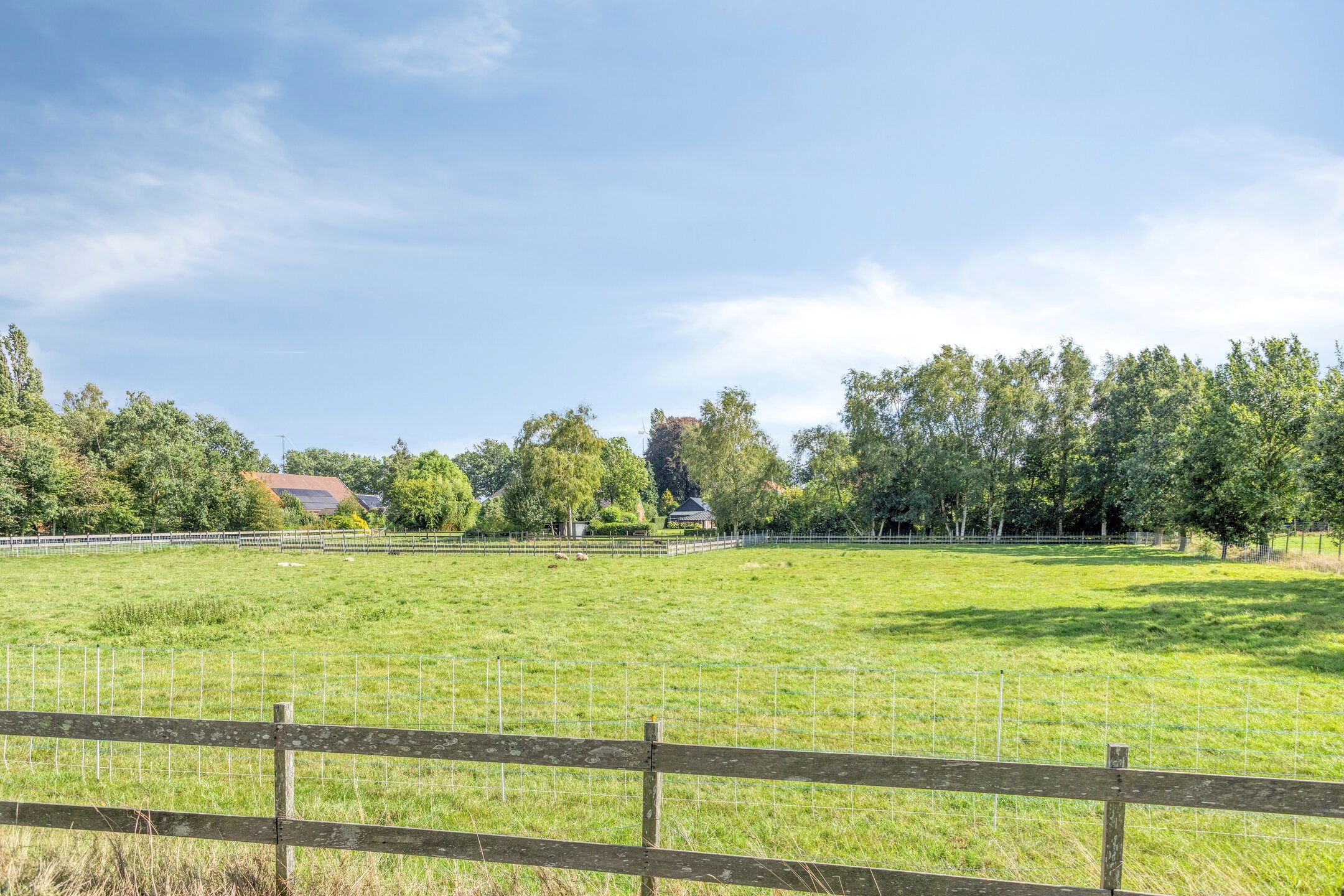 Photo 99 of Zuiderdiep 190
