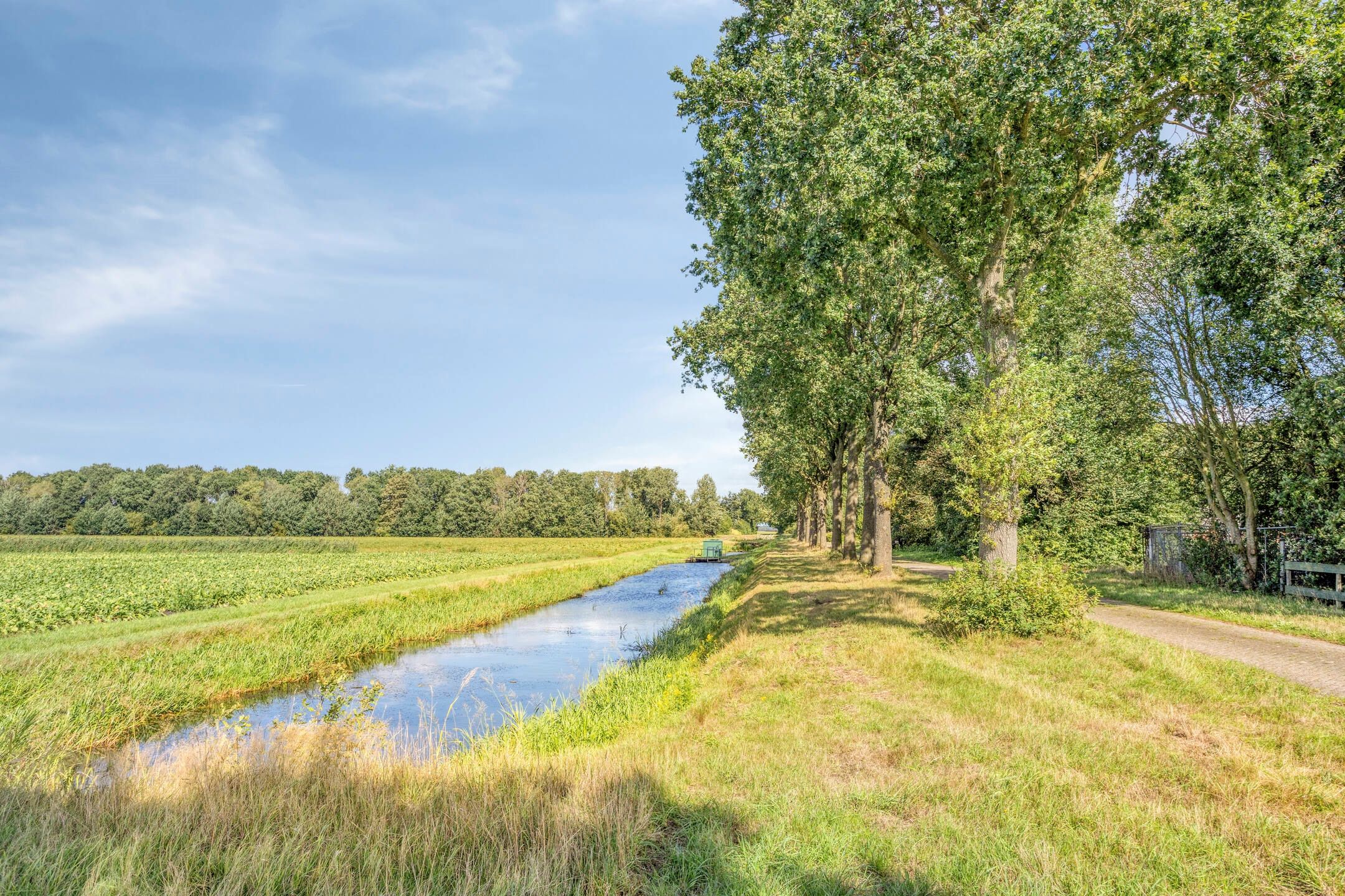 Photo 96 of Zuiderdiep 190