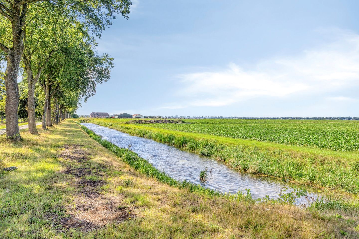 Photo 95 of Zuiderdiep 190