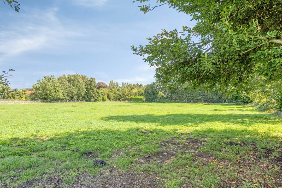 Photo 103 of Zuiderdiep 190