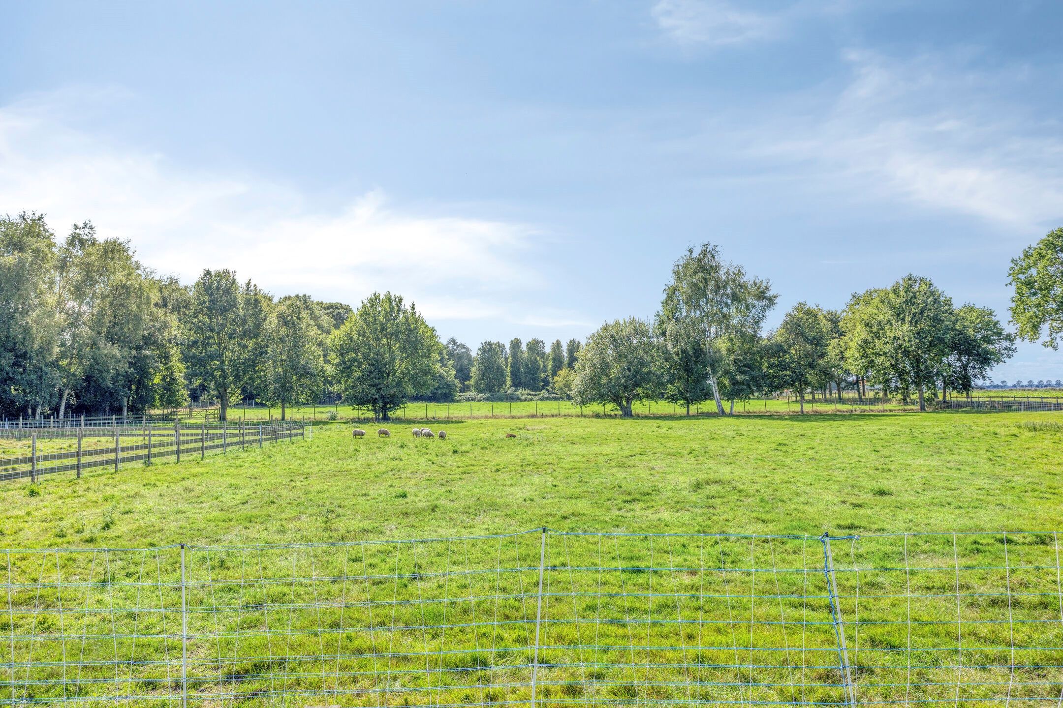 Photo 105 of Zuiderdiep 190
